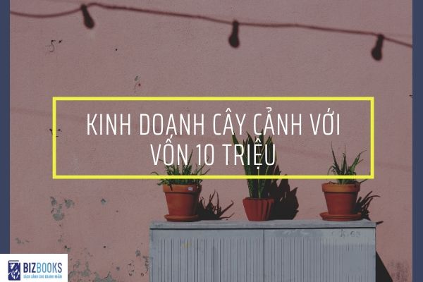 Có 10 triệu nên kinh doanh gì?