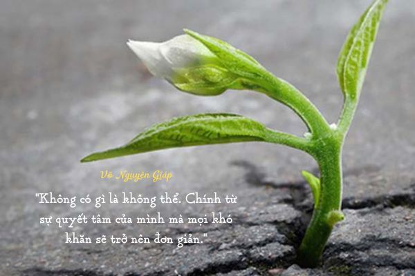 Những câu nói truyền cảm hứng sống mãnh liệt vượt qua nghịch cảnh