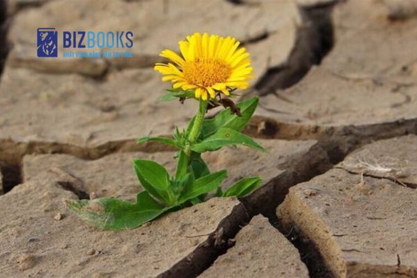 Những câu nói truyền cảm hứng sống tích cực vượt qua nghịch cảnh