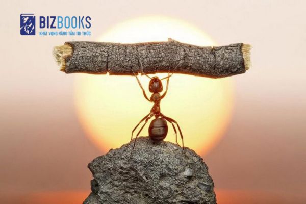 Những câu nói truyền cảm hứng về sự cố gắng trong cuộc sống