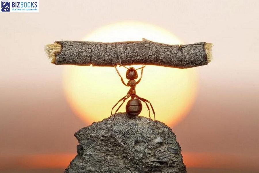 Đừng bao giờ từ bỏ giấc mơ - cuốn sách được nhiều độc giả khuyên đọc