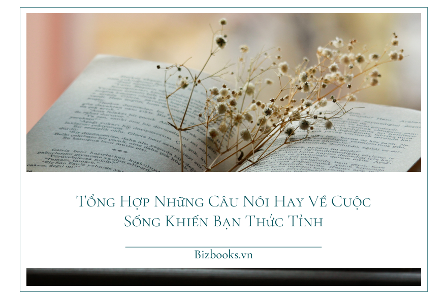 Tổng Hợp Những Câu Nói Hay Về Cuộc Sống Khiến Bạn Thức Tỉnh
